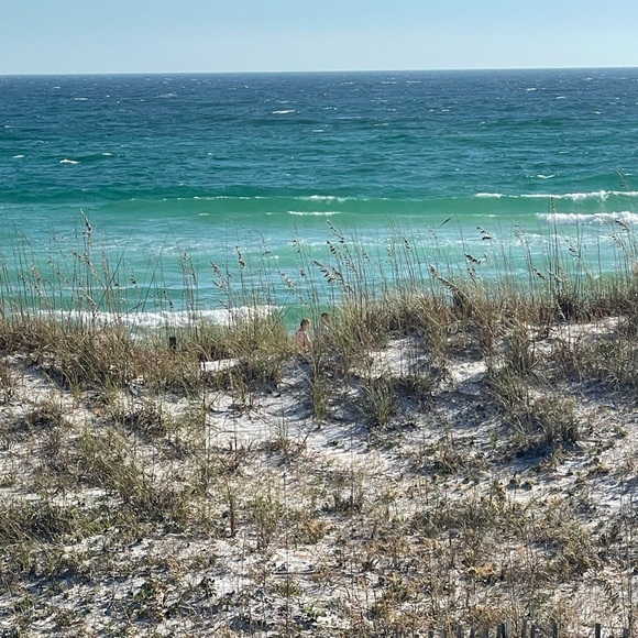 Meet your Posher, Lori - Picture 1 of 1